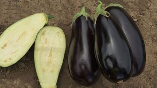 Vinete la congelator pentru iarnă