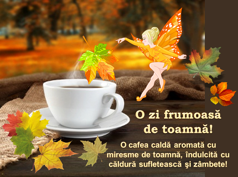 Mesaje pentru luna septembrie 2022