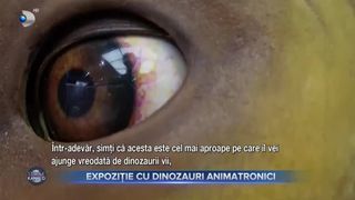 Expoziție cu dinozaur animatronici