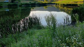 Sambata, la &ldquo;ROventura&rdquo; -Călătorie &icirc;n Transilvania de poveste