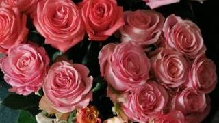 Prima zi de școală 2022. Ce flori poți să le oferi profesorilor