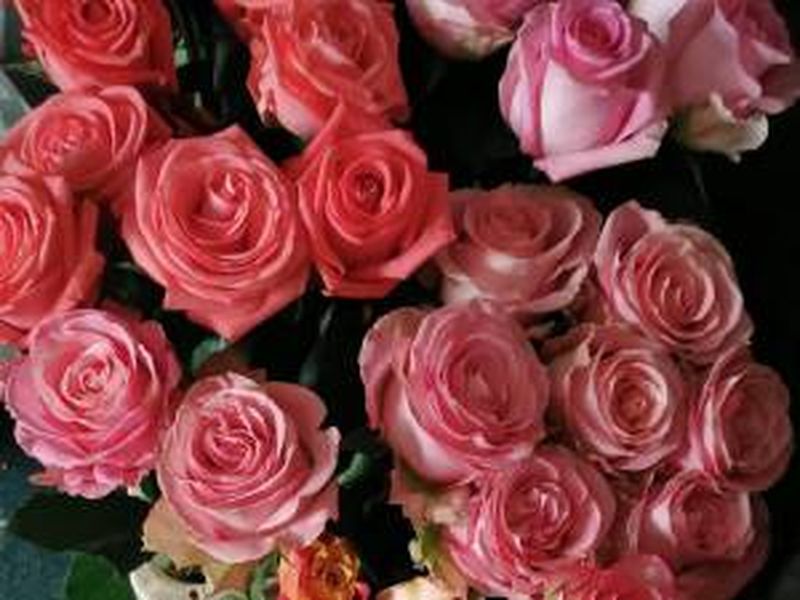 Prima zi de școală 2022. Ce flori poți să le oferi profesorilor