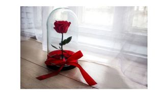 Trandafirii criogenați - de ce să oferi un astfel de cadou unei persoane speciale?