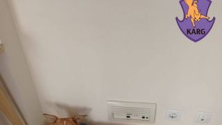 irpin ucraina portugalia