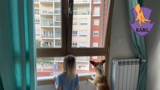 irpin catel ucraina portugalia