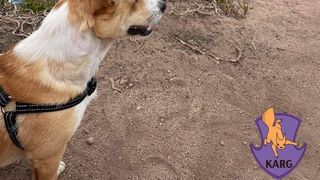 irpin razboi ucraina