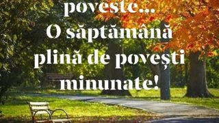 Mesaje septembrie 2022: Cele mai frumoase urări pentru prima zi de toamnă