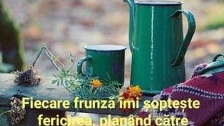 Mesaje septembrie 2022: Cele mai frumoase urări pentru prima zi de toamnă