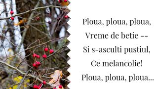 Cele mai frumoase poezii de toamnă