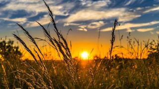 Mesaje pentru ultima zi de vară: Felicitări şi imagini cu text pentru 31 august 2022