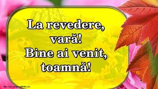 Mesaje pentru ultima zi de vară