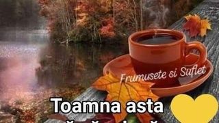 Mesaje de 1 septembrie 2022