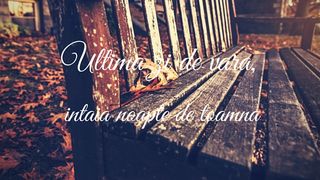 Mesaje de 1 septembrie 2022