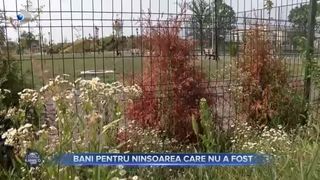 Bani pentru ninsoarea care nu a fost