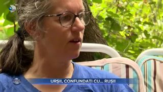 Urșii, confundați cu rușii