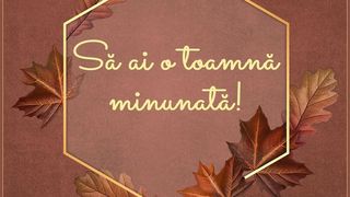 Mesaje de toamnă: Cele mai frumoase urări pentru 1 septembrie 2022