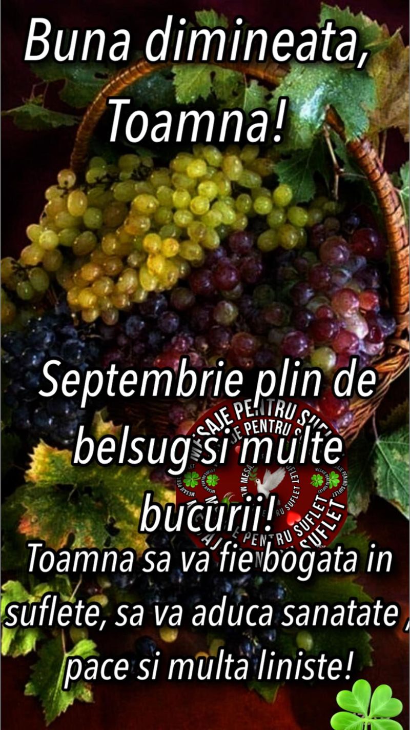 Mesaje de toamnă