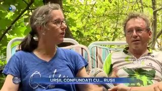 Urșii, confundați cu... rușii