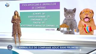Animalele de companie aduc bani frumoși