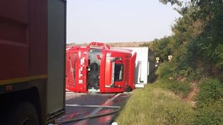 Un TIR cu peste 600 de porci vii s-a răsturnat pe DN 6