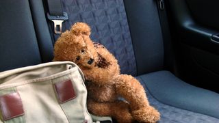 O fetiță de doi ani a murit după ce a fost uitată &icirc;n mașină șapte ore