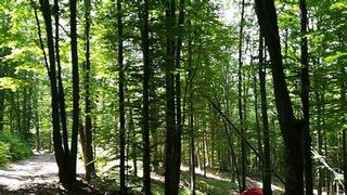 Patru indivizi sunt arestați pentru tâlhărie, după ce au jefuit un bărbat și l-au lăsat în pădure