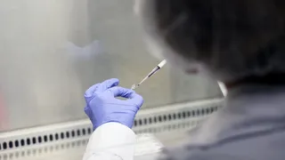 Focar de pneumonii provocate de bacteria legionella - 11 morți