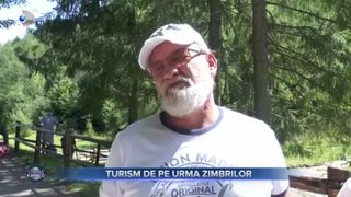 Turism de pe urma zimbrilor