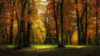 Locuri de vizitat toamna Rom&acirc;nia