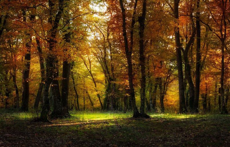 Locuri de vizitat toamna România