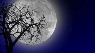 Lună plină în Pești pe 10 septembrie 2022. Ce trebuie să faci în această zi specială