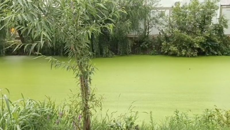 Fenomen bizar în aproprierea Capitalei. Râul Pasărea și-a schimbat în totalitate culoarea