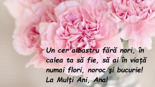 Mesaje cu La mulţi ani de Sf&acirc;nta Ana 2022