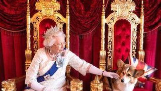 Presa din Marea Britanie a dezvăluit ce se va întâmpla cu câinii suveranei.  Cei trei câini aveau propriul bucătar