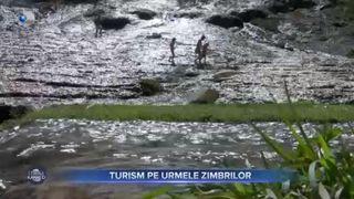 Turism pe urmele zimbrilor