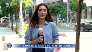 Făina de greieri e tot mai populară