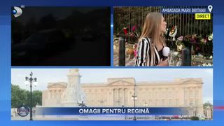 Omgaii pentru regină