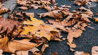 Prognoza meteo în perioada 12-25 Septembrie 2022. Cum va fi vremea în următoarele două săptămâni