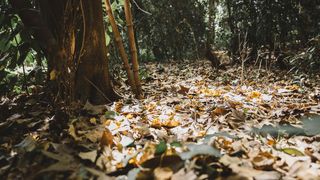 Prognoza meteo în perioada 12-25 Septembrie 2022. Cum va fi vremea în următoarele două săptămâni