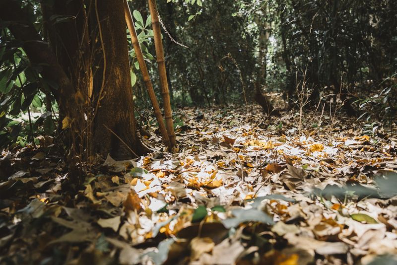 Prognoza meteo în perioada 12-25 Septembrie 2022. Cum va fi vremea în următoarele două săptămâni