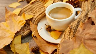 VIDEO - Prognoza meteo în perioada 12-25 Septembrie 2022. Cum va fi vremea în următoarele două săptămâni