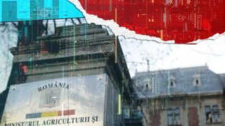 Procurorii DNA, descinderi la Ministerul Agriculturii. Cine e șefa de serviciu care a primit mită de 36 de ori!