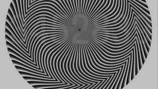 Această iluzie optică a ajuns virală datorită numărului ascuns în interiorul formei! Tu ce număr vezi?