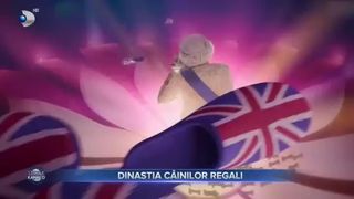 Dinastia c&acirc;inilor regali