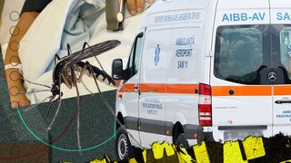 VIDEO - O femeie de 48 de ani a ajuns la spital după ce s-a infectat cu virusul West Nile. Cei doi brăileni infectați în luna august au murit