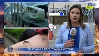 West Nile a făcut încă 2 victime