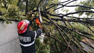 VIDEO| Vântul provoacă ravagii în București, Ilfov și Constanța. Mai mulți copaci au căzut pe mașini și rețele electrice