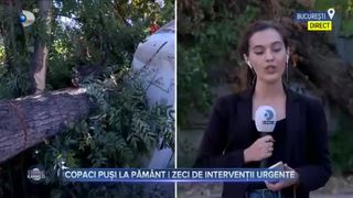 Copaci pusi la pamant! Zeci de interventii urgente
