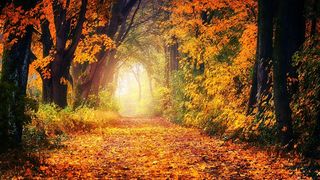 Prognoza meteo 19-25 septembrie 2022