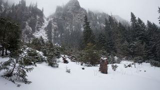 Iarnă în Bucegi. Ninge viscolit de luni noapte